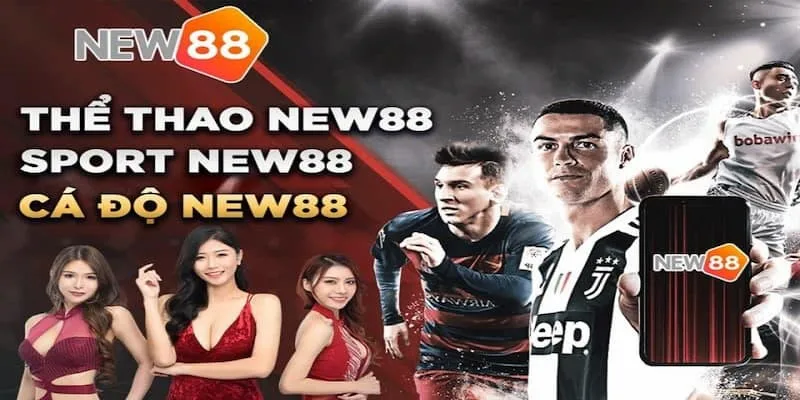 Review New88: Giải Mã Sức Hút Của "Thành Viên Vàng" Liên Minh OKVIP 1 New88 nha cai the thao cuc chat - Đánh giá New88